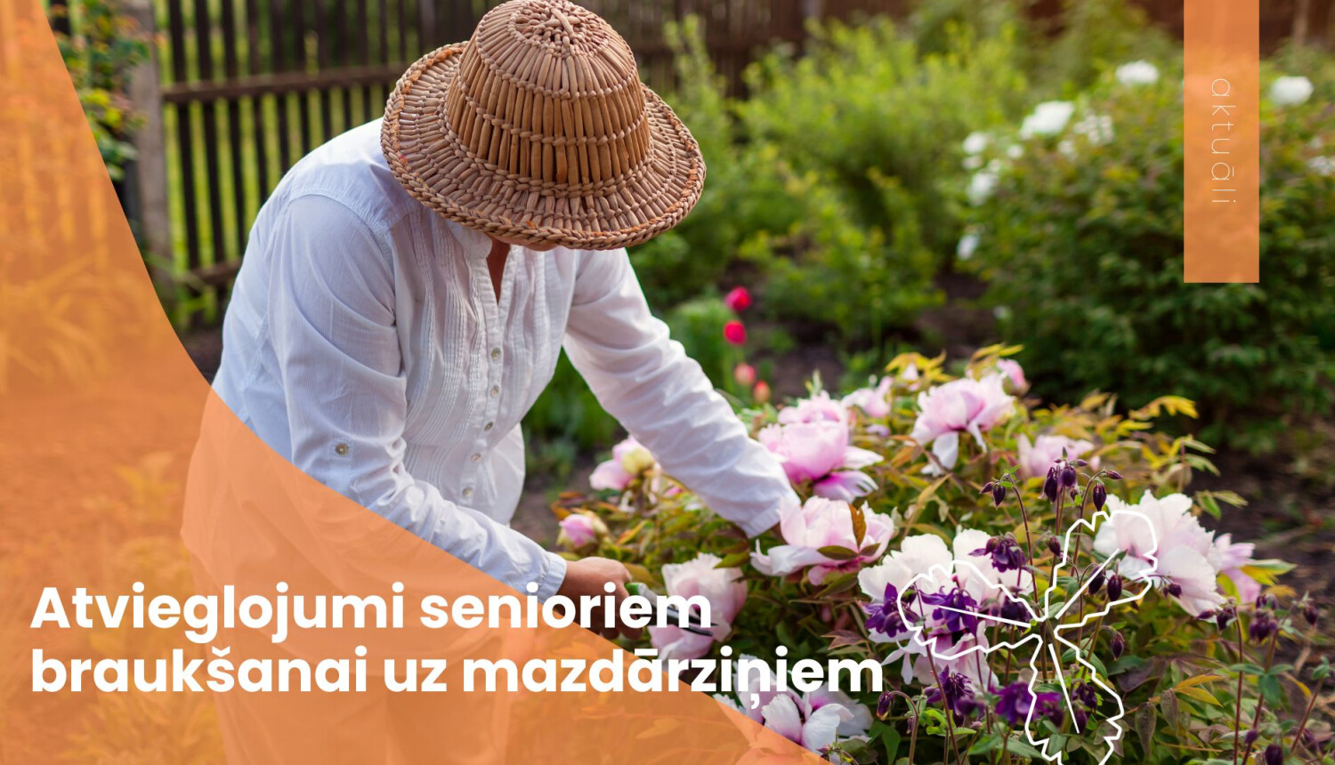 Būs atvieglojumi senioriem braukšanai uz mazdārziņiem