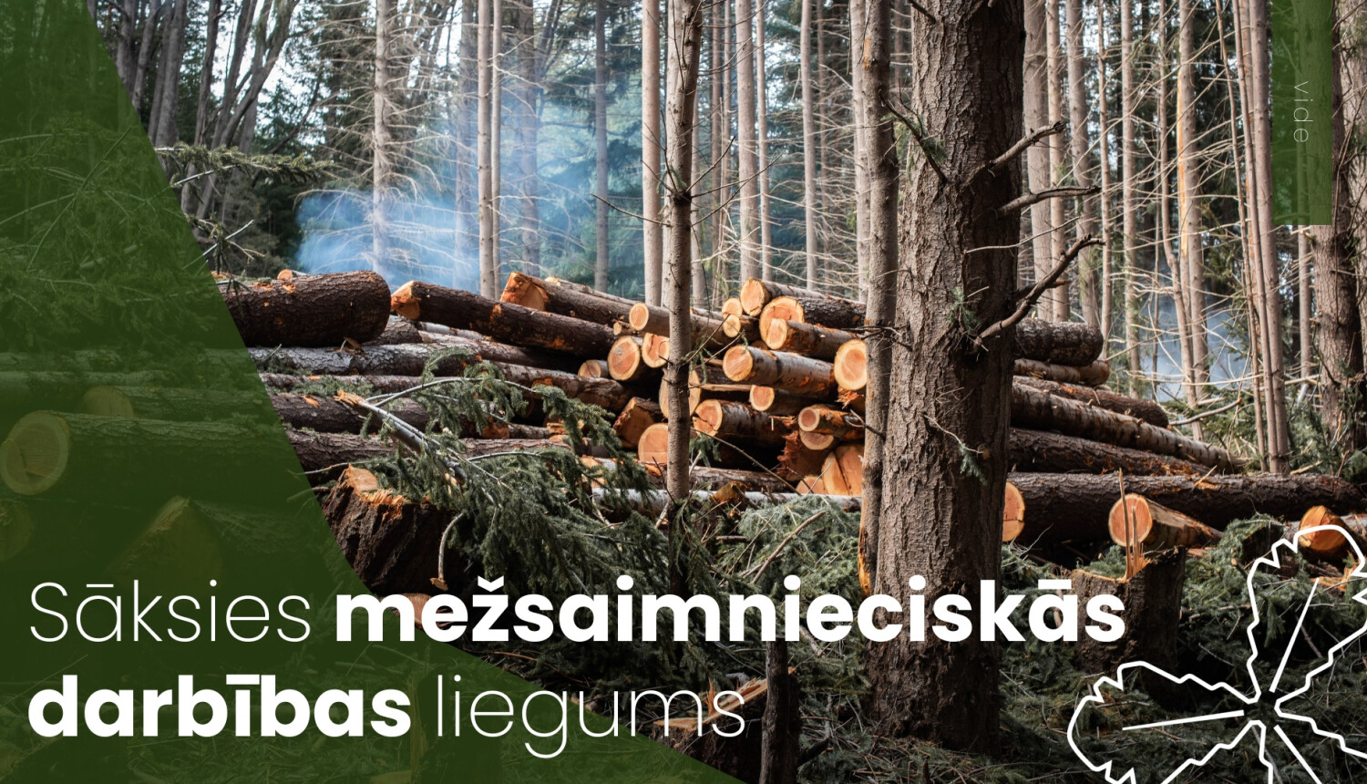 Sāksies mežsaimnieciskās darbības liegums