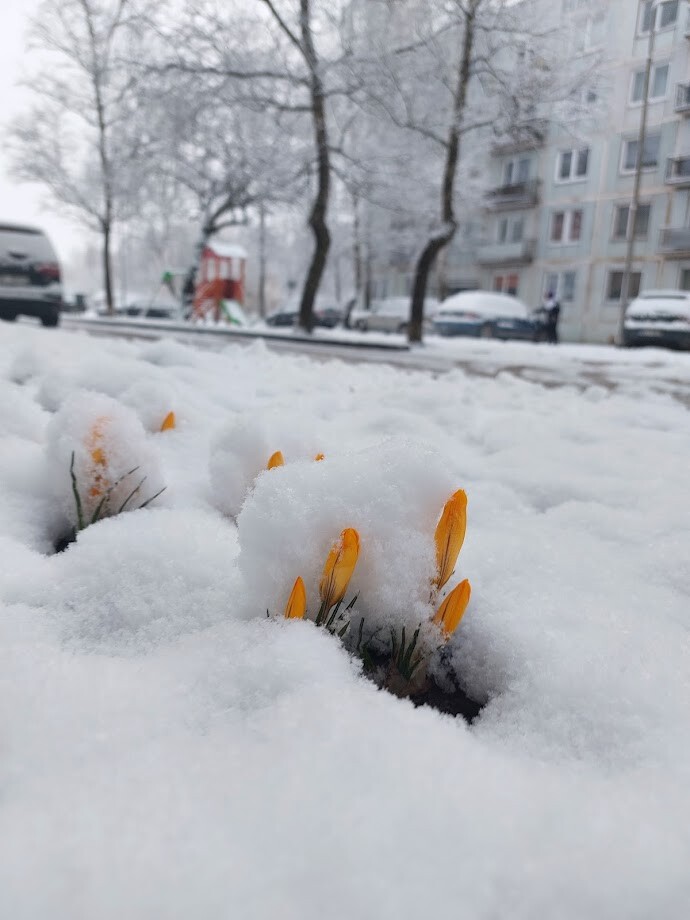 Šodien ir pēdējā solārā ziemas diena, jau rīt – solārais pavasaris